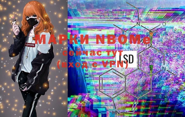 винт Няндома