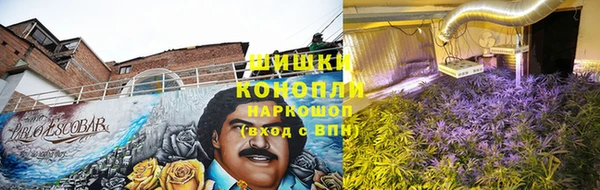 винт Няндома