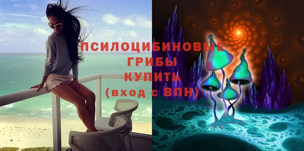 мескалин Нязепетровск